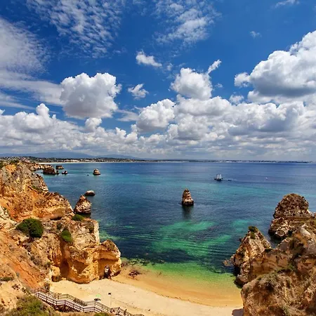 A23 - Marina Palm View